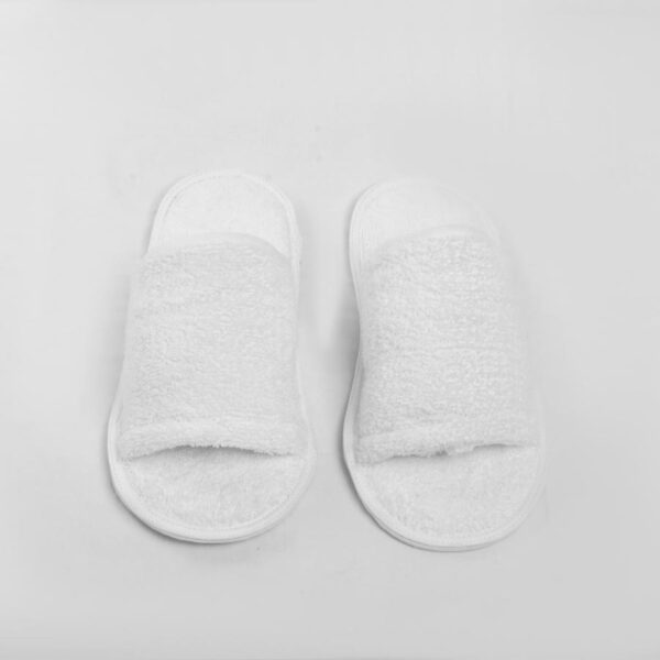 Slippers - Image 2