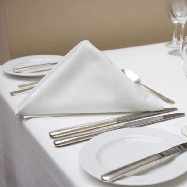 Toledo 100% Polyester Napkins - Image 2