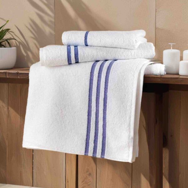 Sasanian Economy Leisure Towel 450 GSM - Image 4