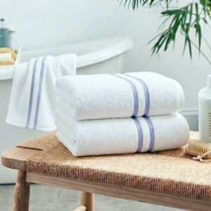 Sasanian Economy Leisure Towel 450 GSM