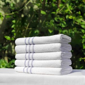 Sasanian Economy Leisure Towel 450 GSM